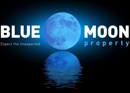 Blue Moon Property - logo